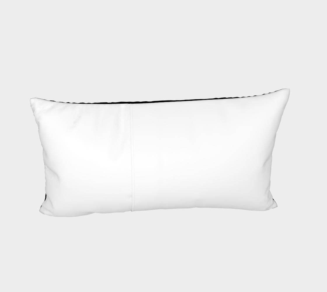 Vintage Roller Skate Pillow Cover